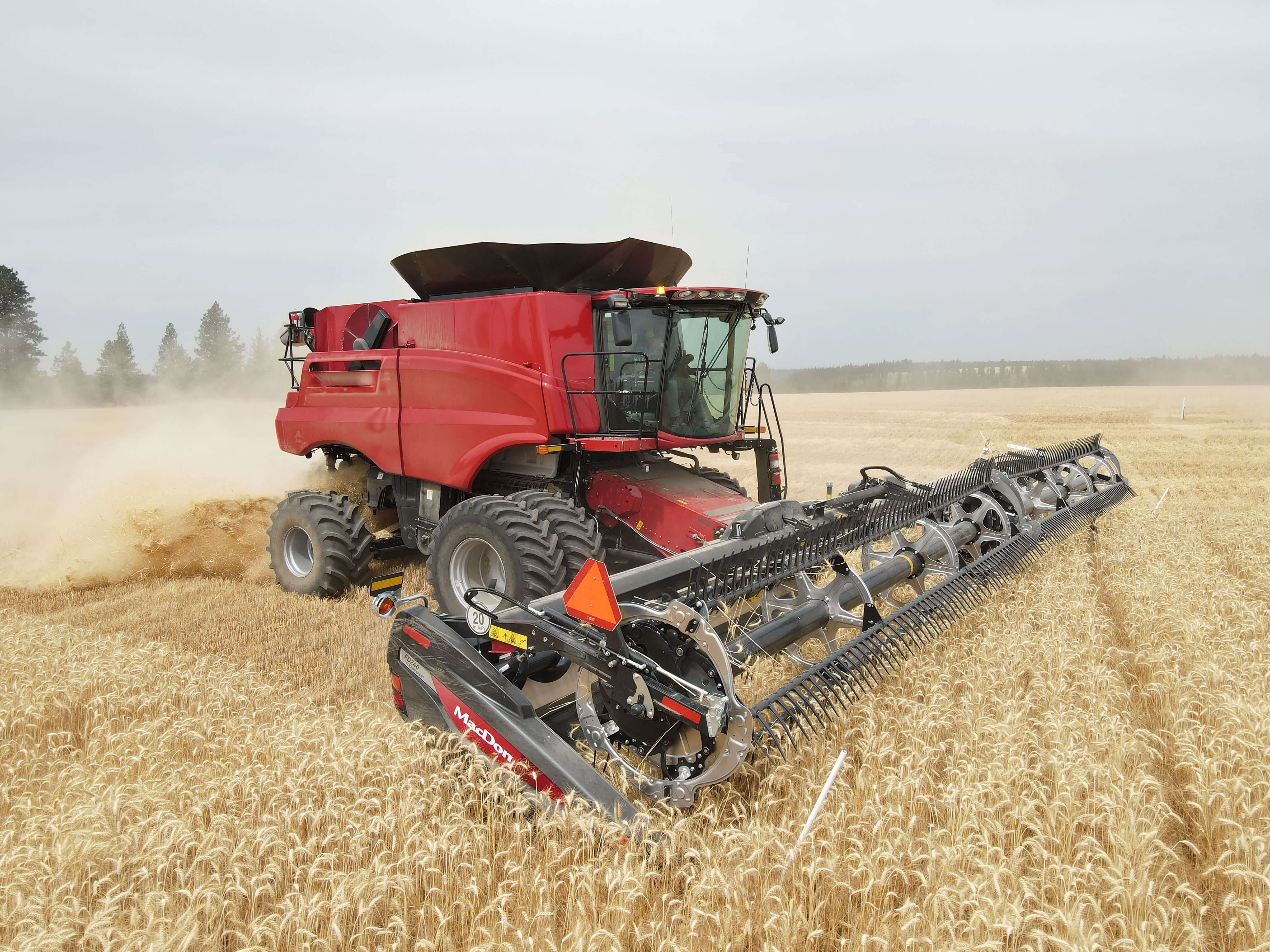 Combine Heads Grain Heads
